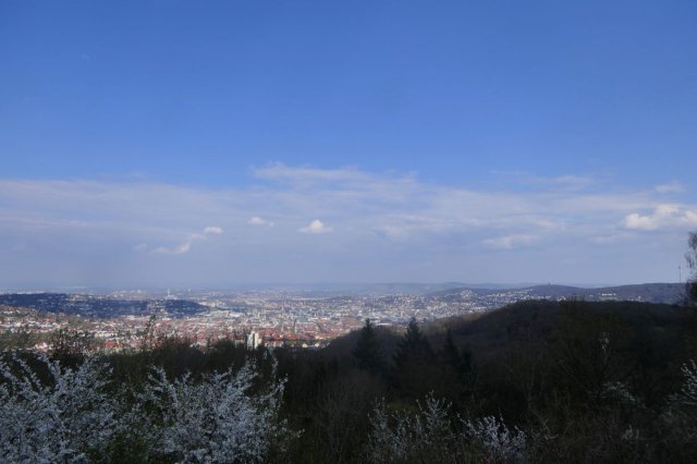 p1060571easy fotok.jpg